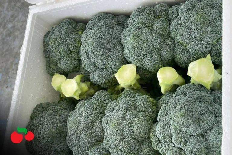 Picsart_26-01-29_16-38-15-557