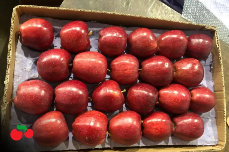 Picsart_26-01-29_16-59-38-660