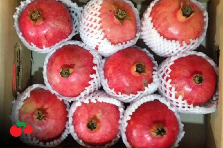 Picsart_26-01-29_17-00-21-969